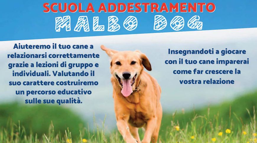 MalboDog addestramento cani